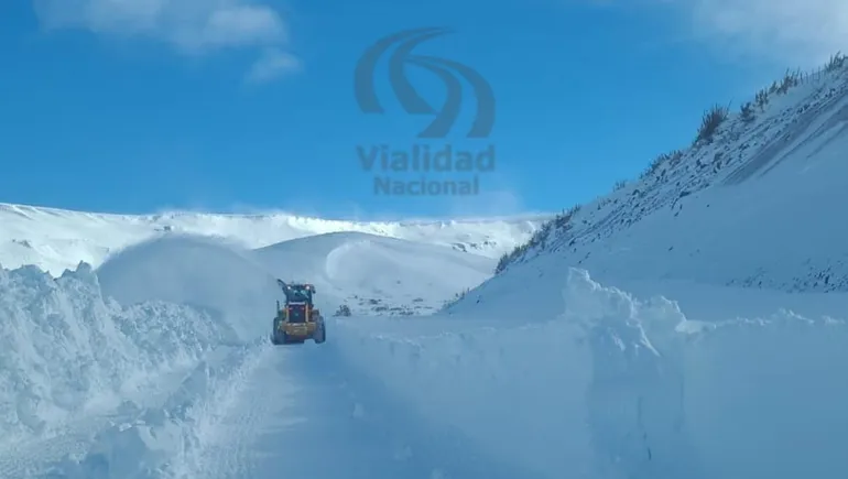 pino-hachado-nieve