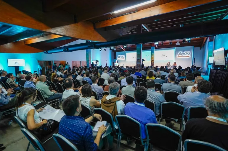 aog-patagonia-previa-interna-3